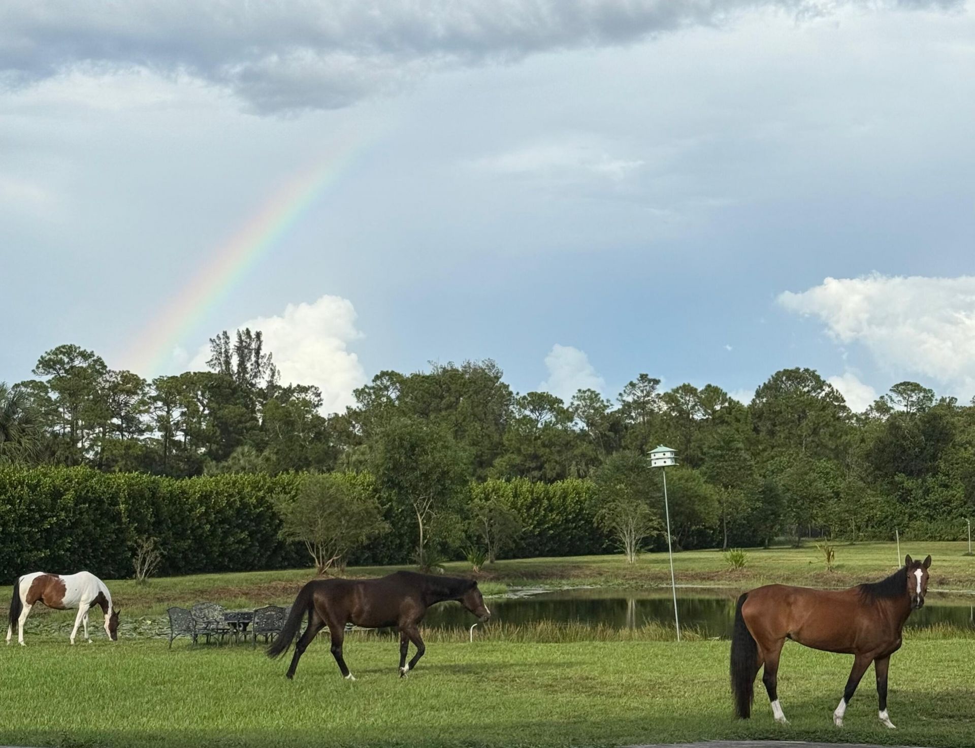 2770 E Road, Loxahatchee Groves, FL 33470 Photo