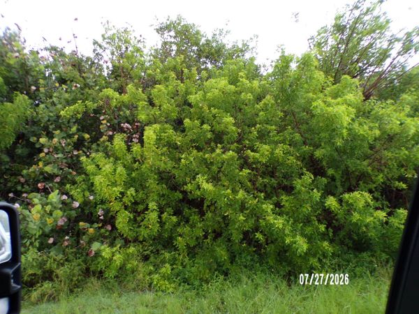5306 Silver Oak Drive, Fort Pierce, FL 34982
