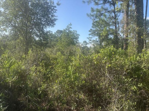 1021 Granger Street, Lake Placid, FL 33852