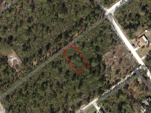 1021 Granger Street, Lake Placid, FL 33852