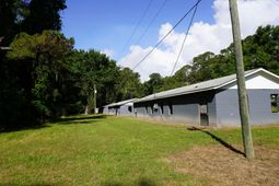 4685 River Road photo 4