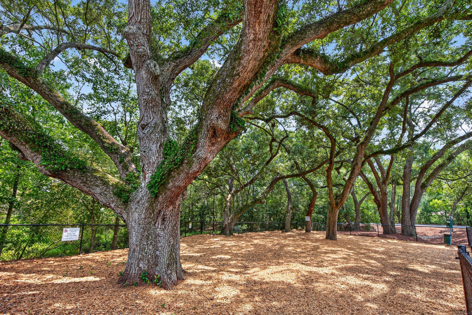 1755 Central Park Road Photo 4