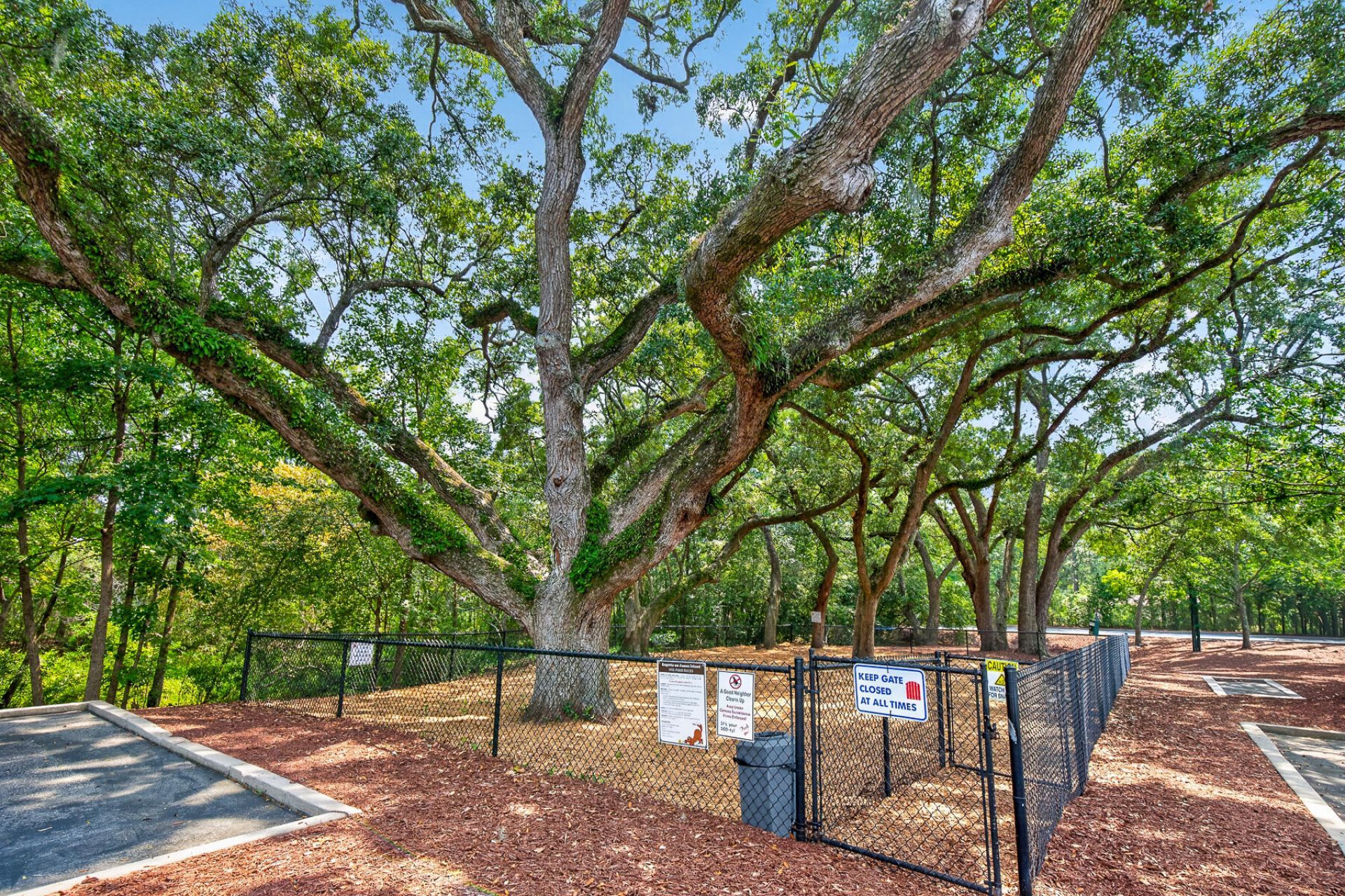 1755 Central Park Road Photo 50