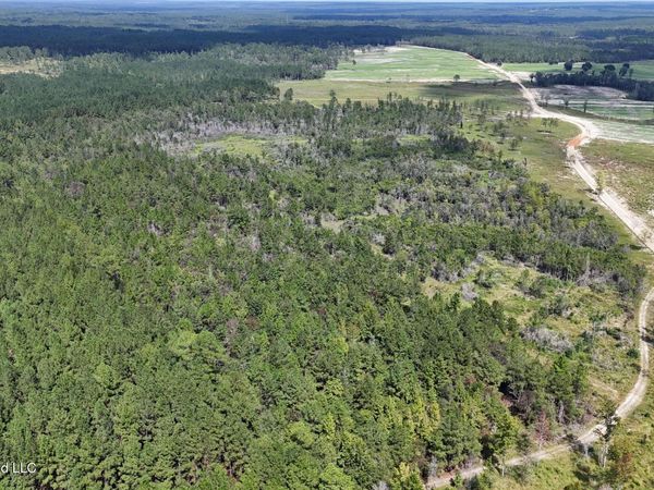 0 Baxter Avenue, Lucedale, MS 39452
