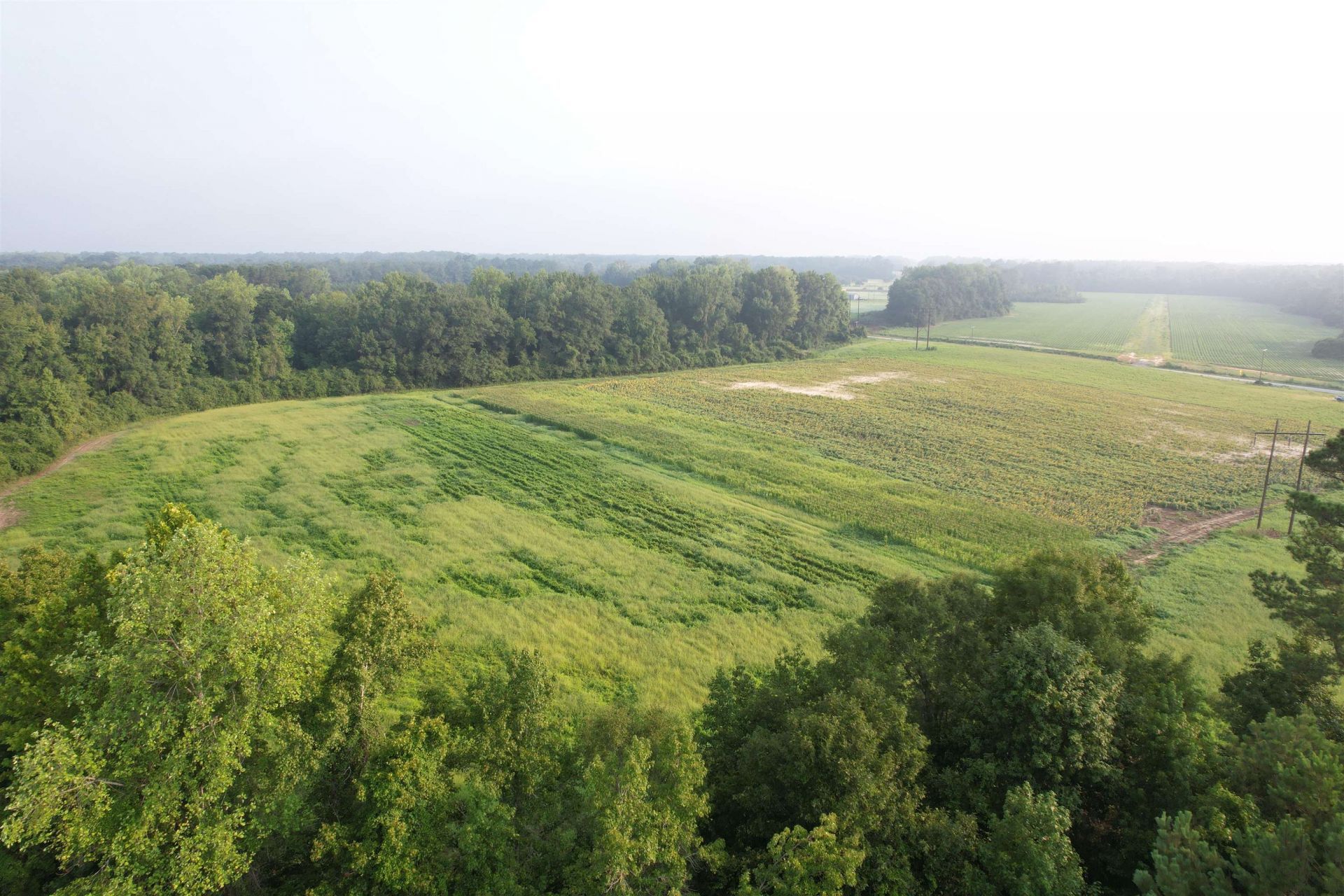 17.74 Acres - S Deerfield Rd.  Photo 10