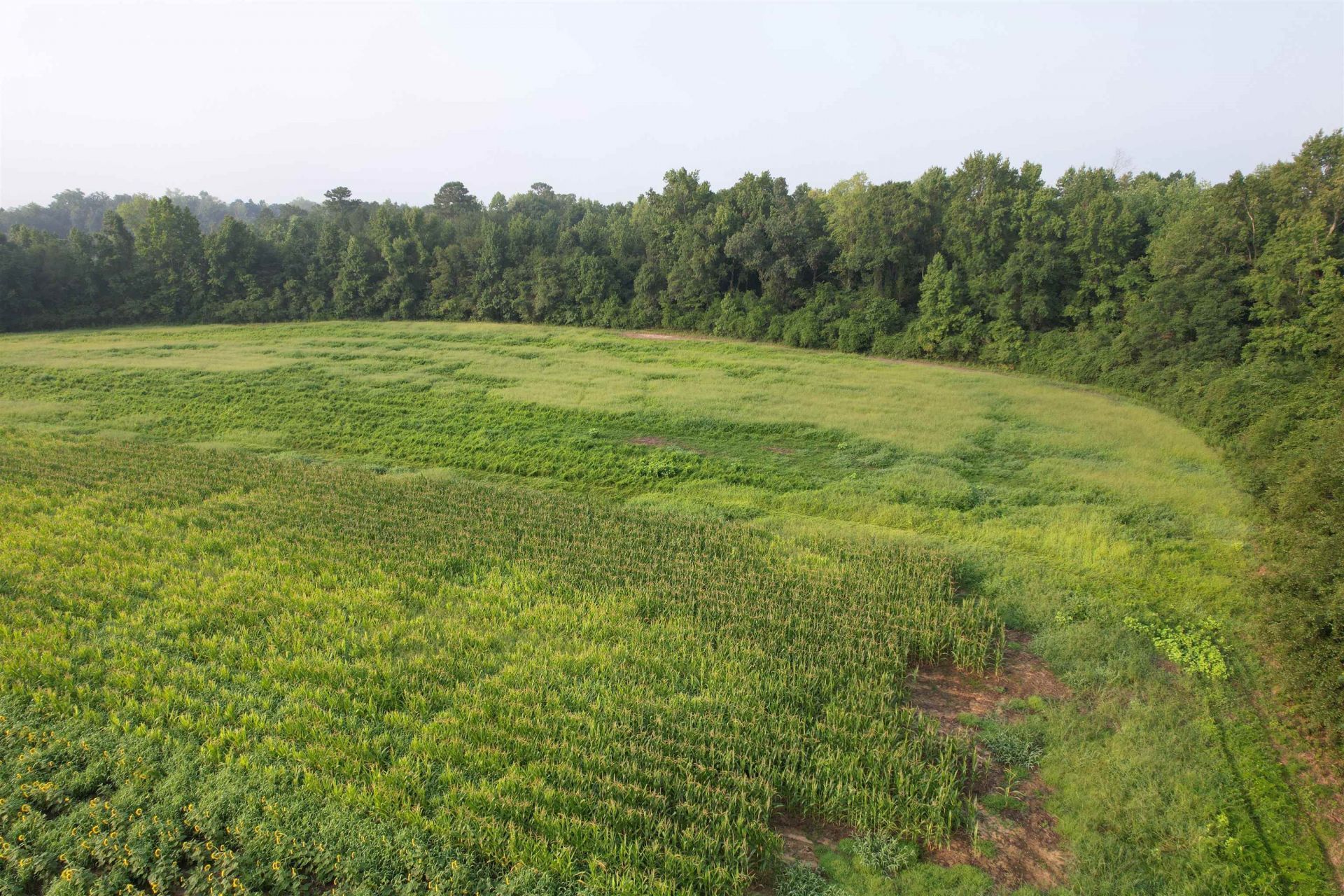 17.74 Acres - S Deerfield Rd.  Photo 6