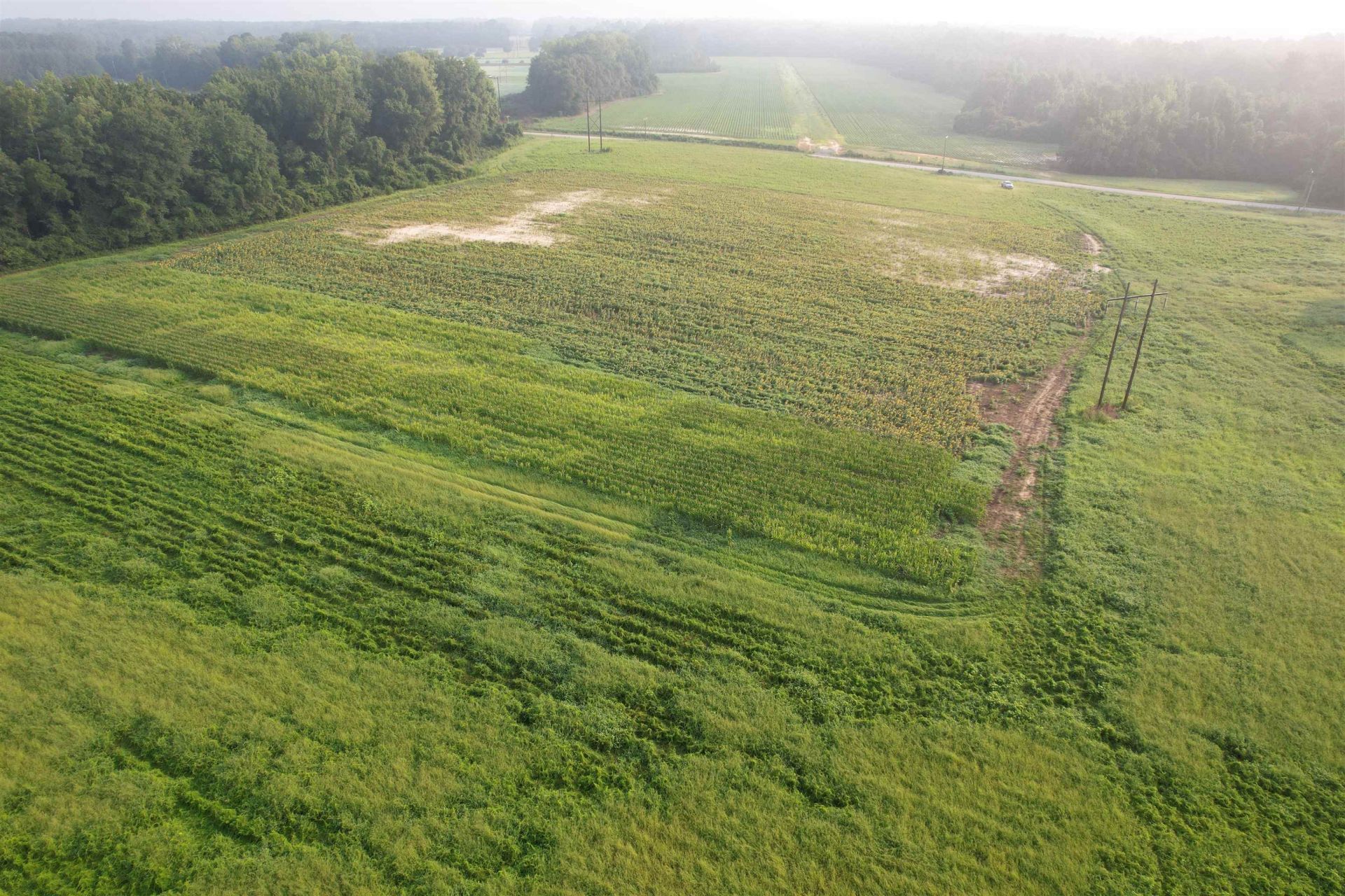 17.74 Acres - S Deerfield Rd.  Photo 7