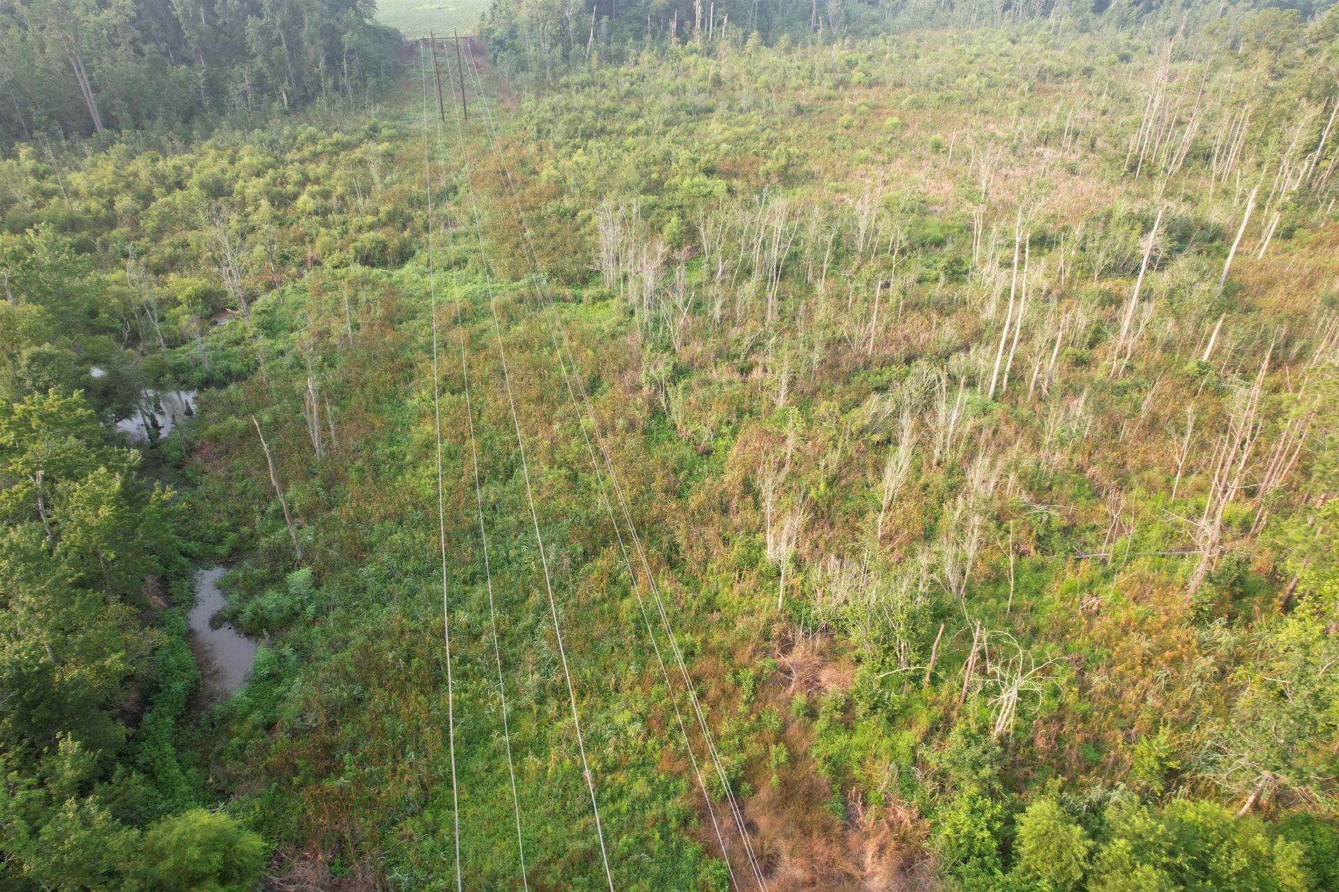 17.74 Acres - S Deerfield Rd.  Photo 8