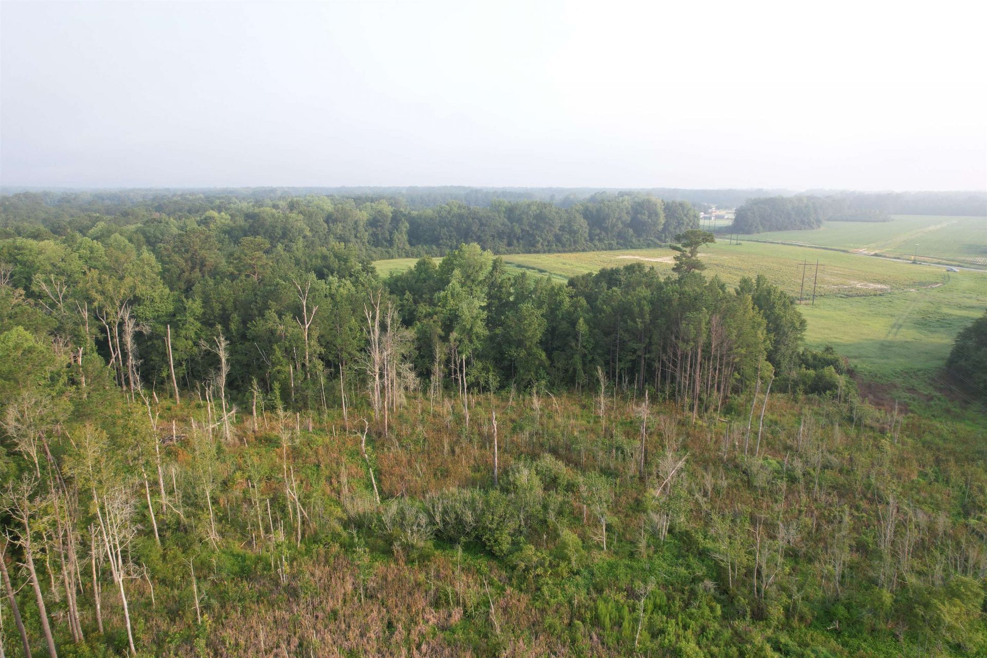17.74 Acres - S Deerfield Rd.  Photo 9