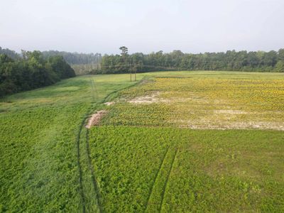 9.58 Acres - S Deerfield Rd. , Johnsonville, SC 29555