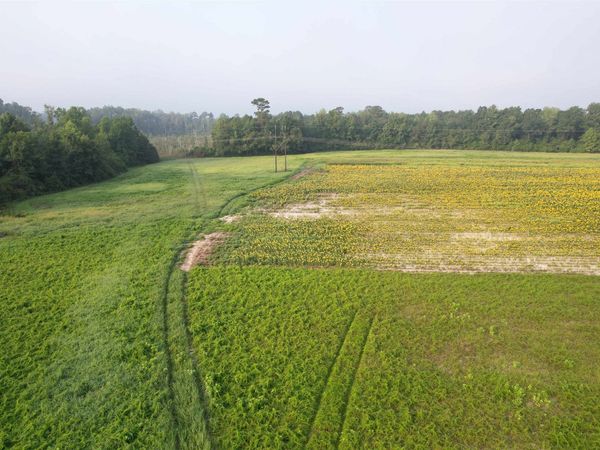 9.58 Acres - S Deerfield Rd. , Johnsonville, SC 29555