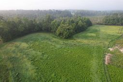 9.58 Acres - S Deerfield Rd.  photo 4