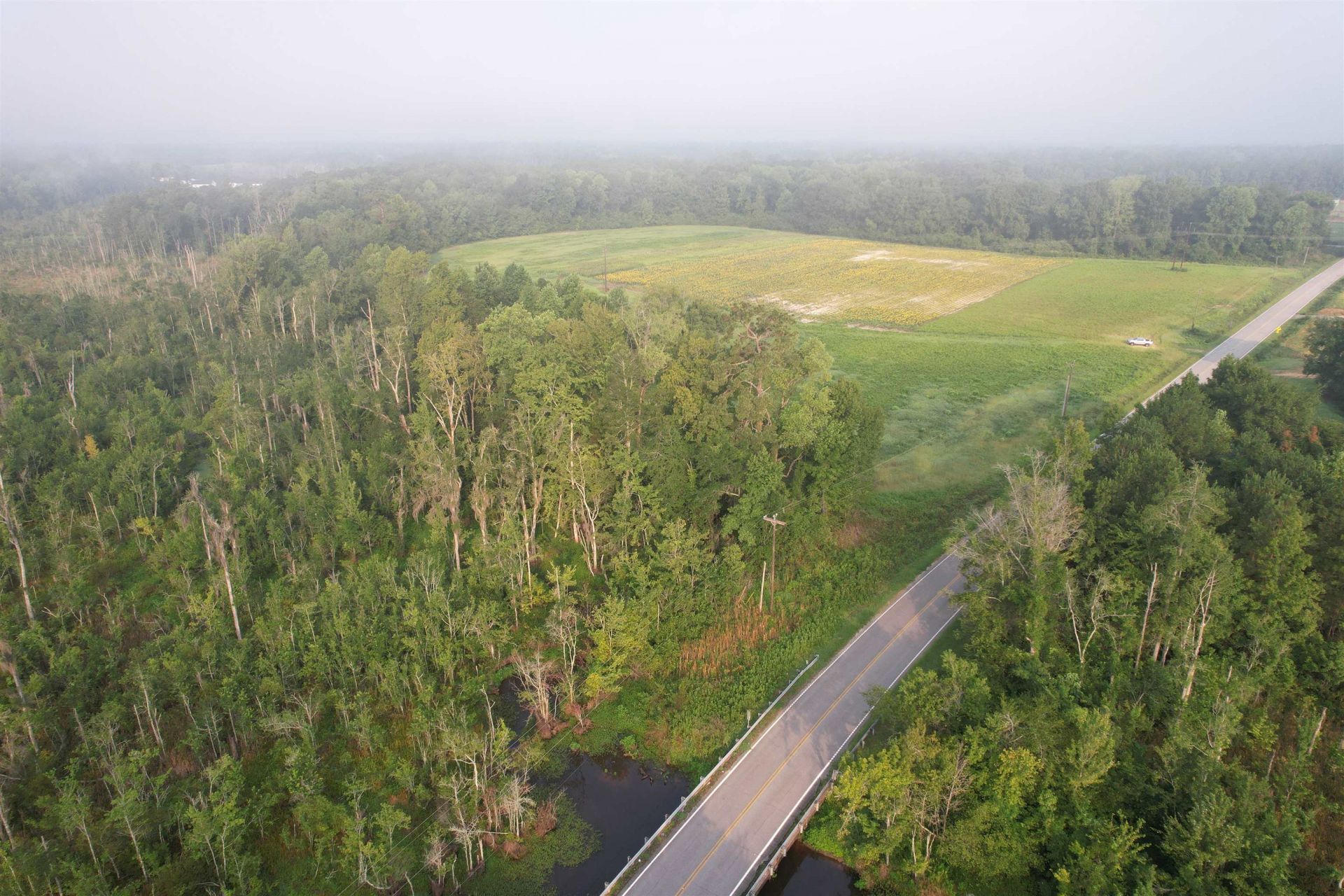 9.58 Acres - S Deerfield Rd.  Photo 4