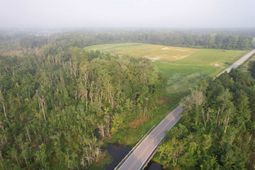 9.58 Acres - S Deerfield Rd.  photo 4