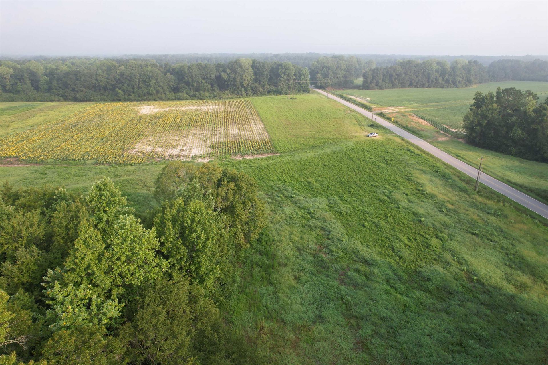 9.58 Acres - S Deerfield Rd.  Photo 5