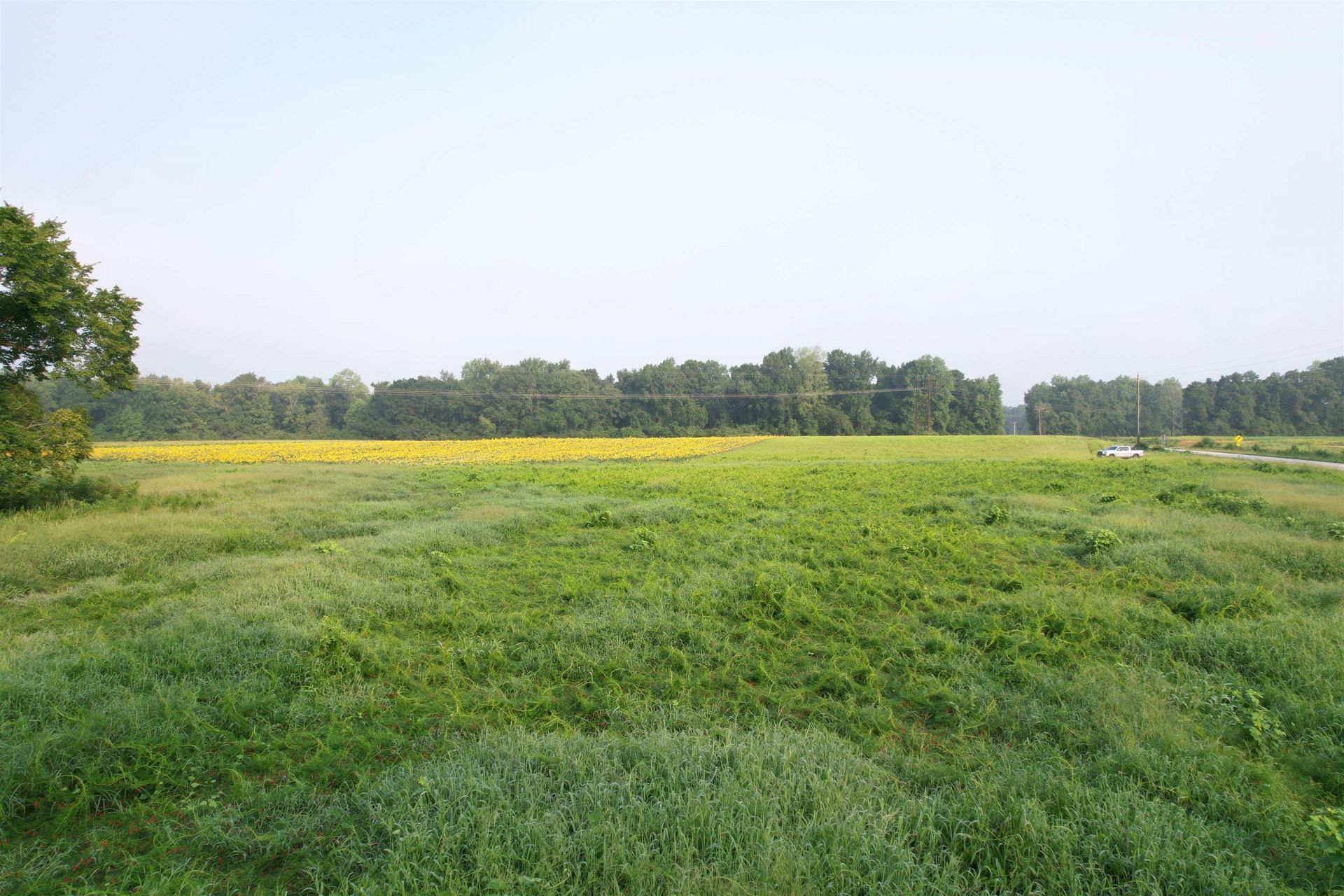 9.58 Acres - S Deerfield Rd.  Photo 6