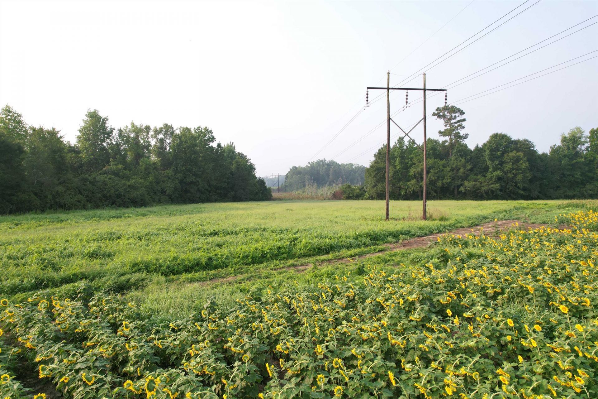9.58 Acres - S Deerfield Rd.  Photo 8
