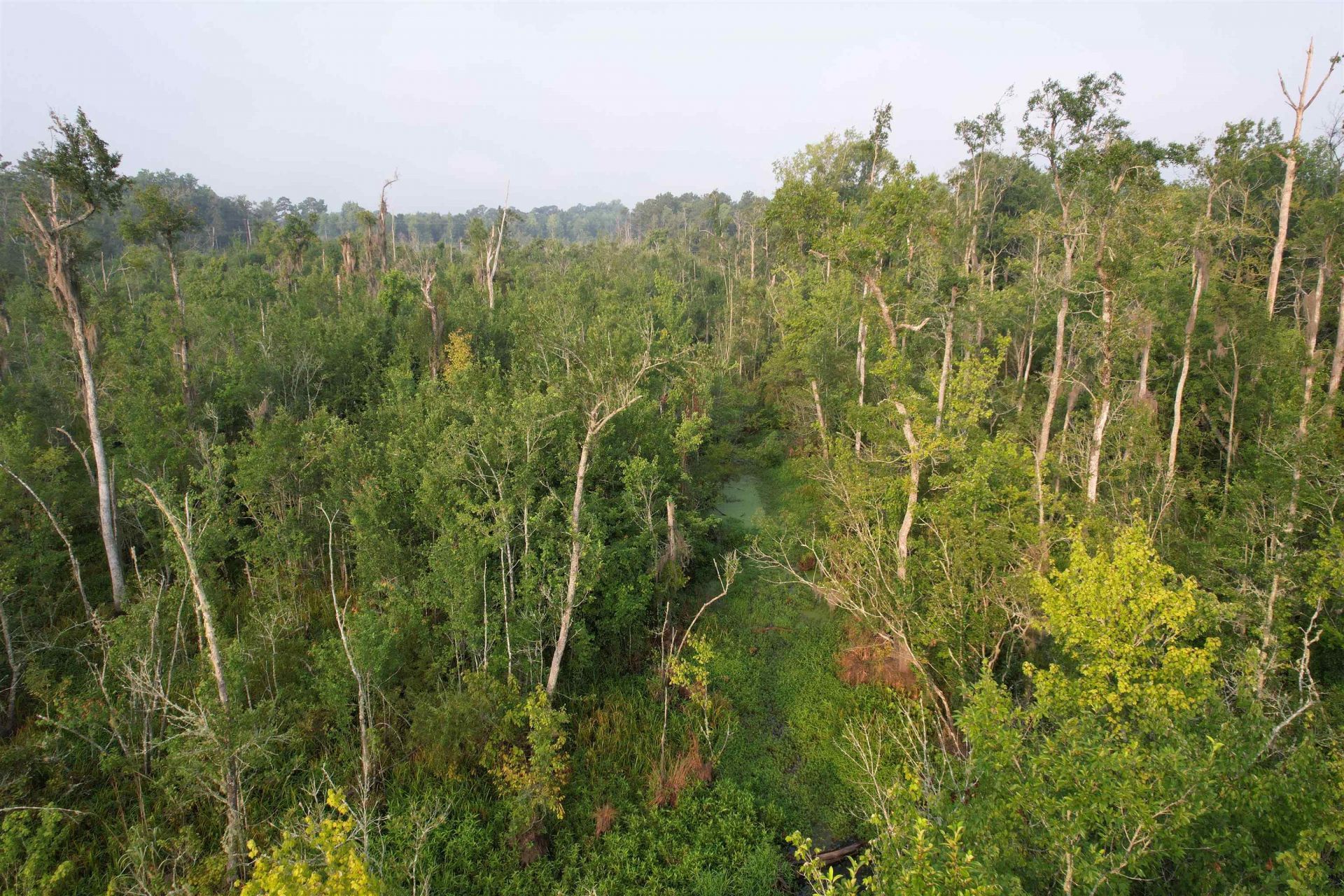 9.58 Acres - S Deerfield Rd.  Photo 9