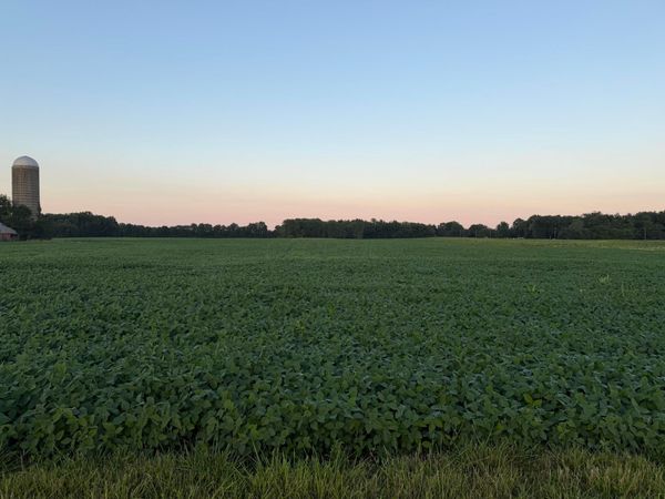 0 Springdale Road S, Unit D20, Marysville, OH 43040
