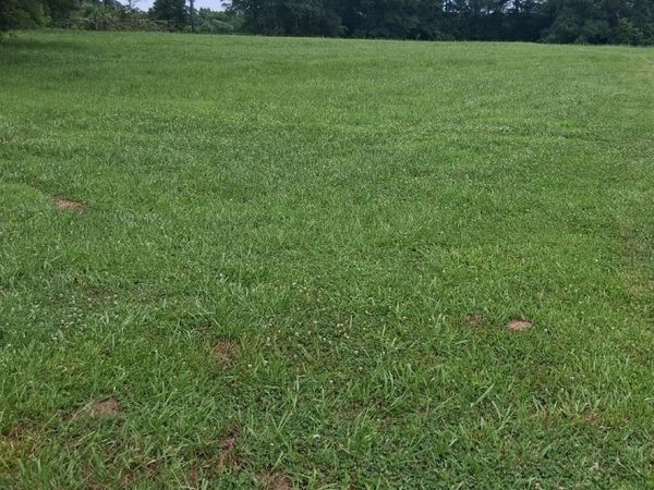 1434 MAIN ST, Other, AL 35951