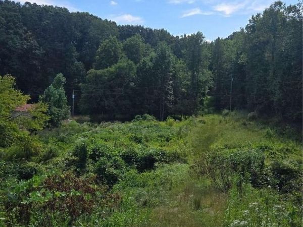 0 Highway 115 , Cleveland, GA 30528