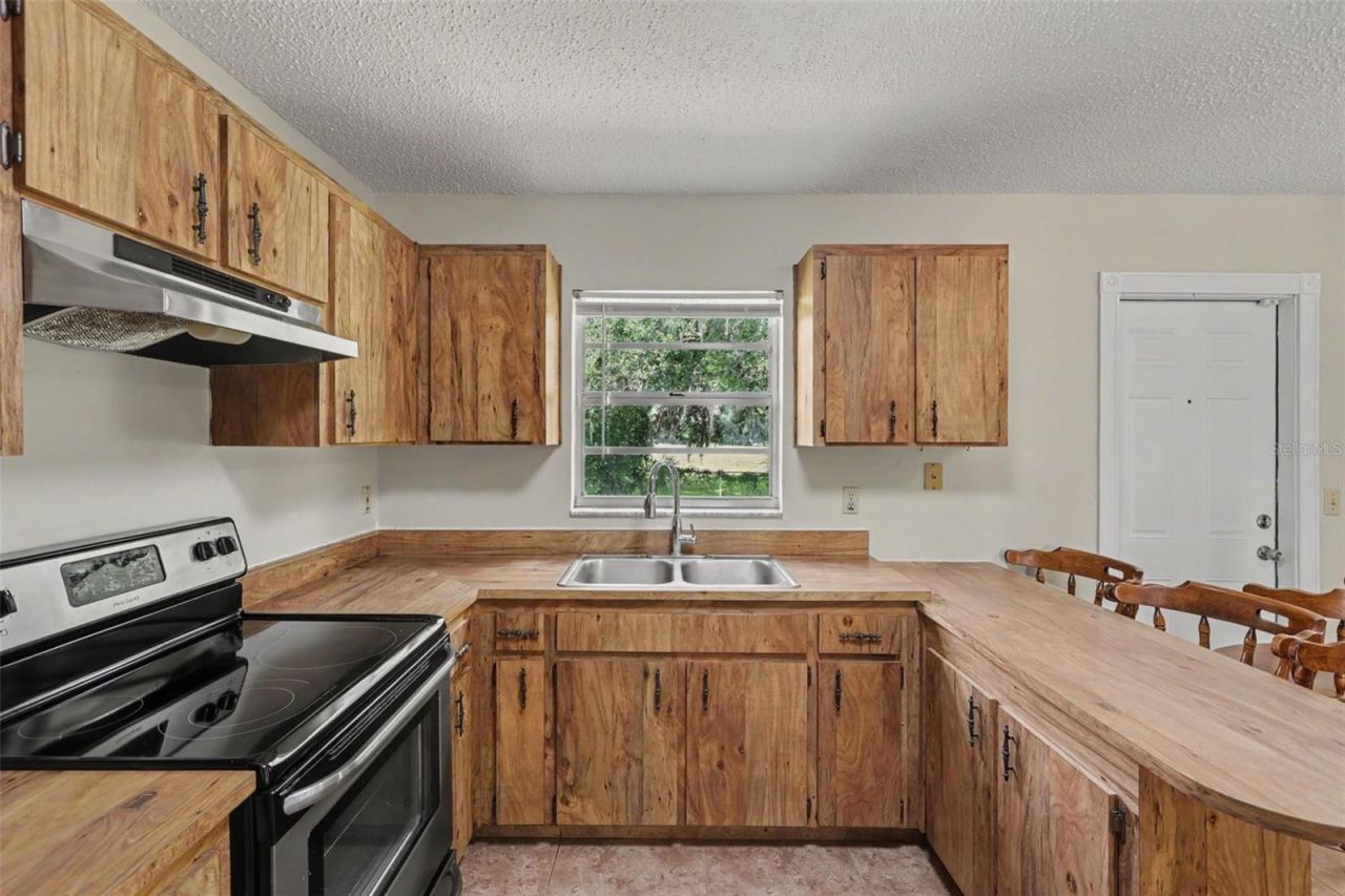3149 Sydney Dover Road, Dover, FL 33527 Photo