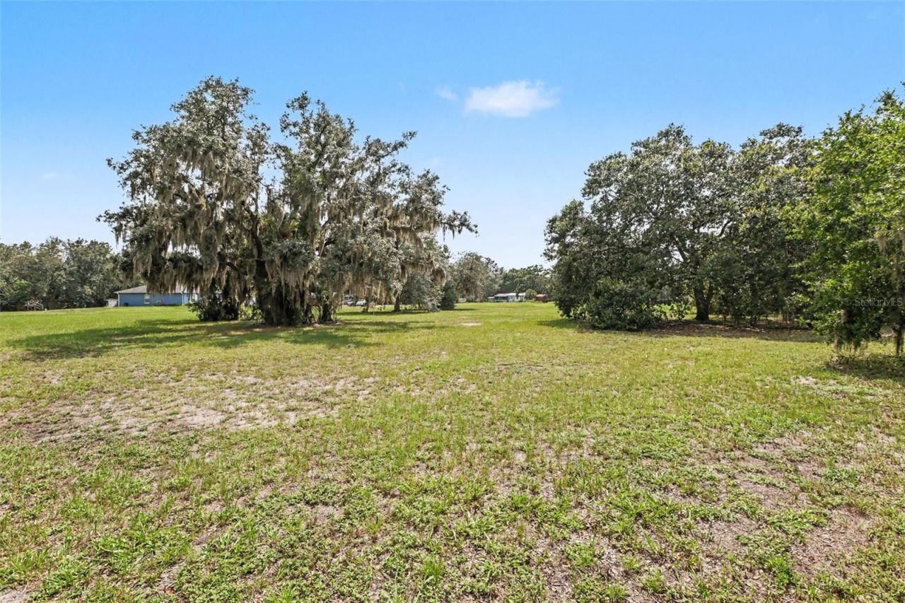 3149 Sydney Dover Road, Dover, FL 33527 Photo