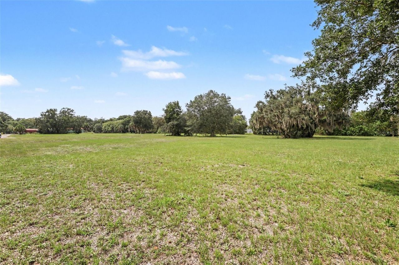 3149 Sydney Dover Road, Dover, FL 33527 Photo