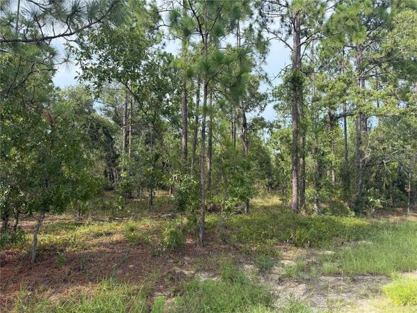 SW 88 STREET , DUNNELLON, FL 34432