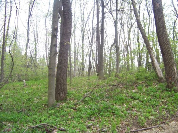 5742 Ontario Street, Coloma, MI 49038