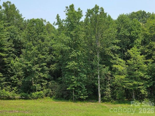 Lot 4 Appalachian Retreat None , Spruce Pine, NC 28777