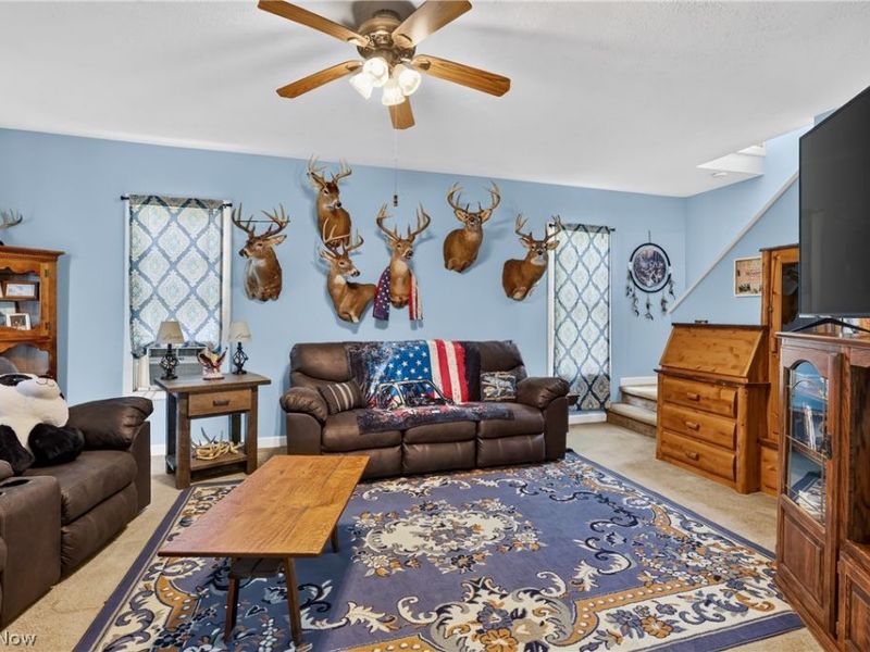 276 E College Street, West Farmington, OH 44491 Photo 8
