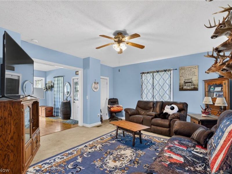 276 E College Street, West Farmington, OH 44491 Photo 9