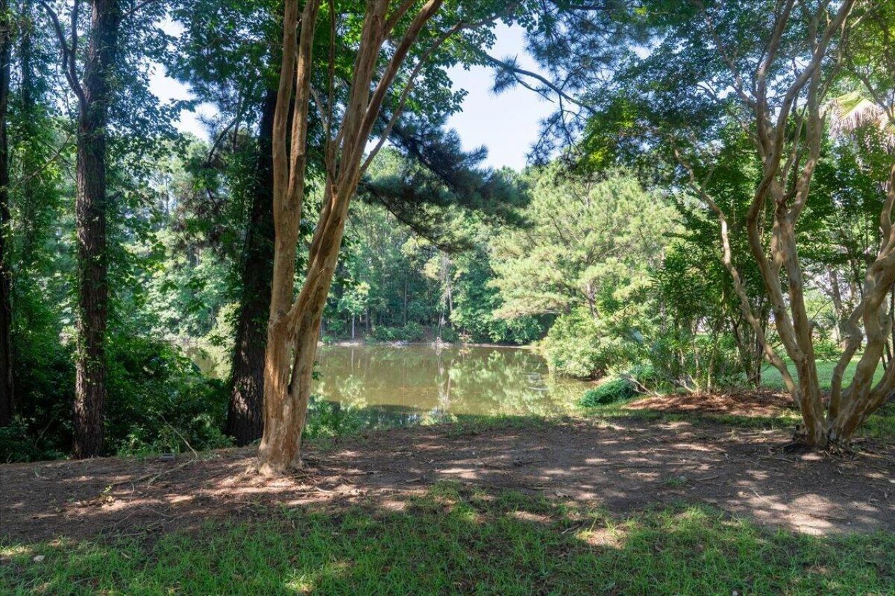 3207 Heathland Way Photo 29