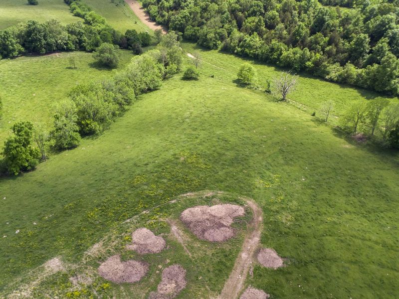 850 W Gardner Road, Cynthiana, KY 41031 Photo 25
