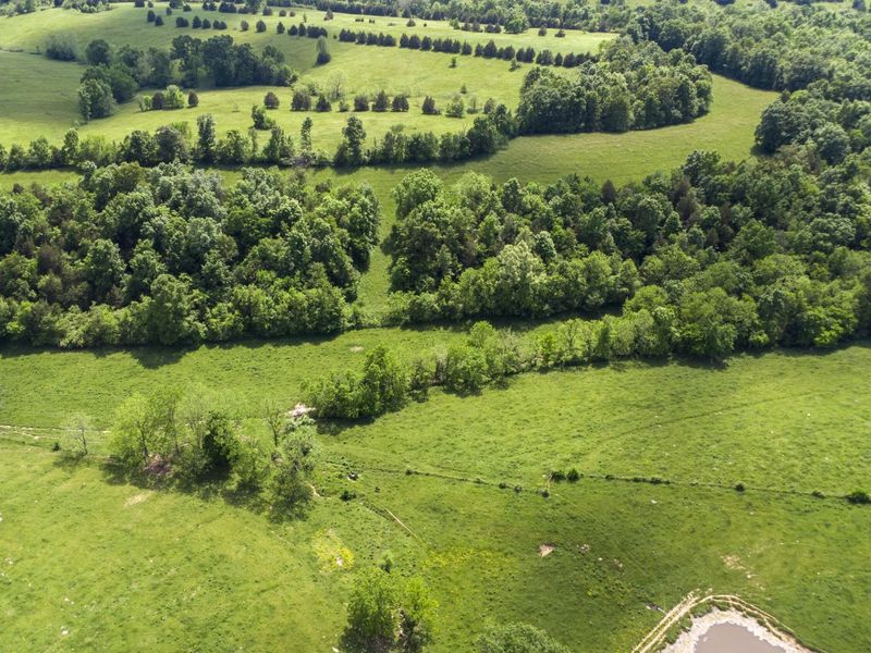850 W Gardner Road, Cynthiana, KY 41031 Photo 28