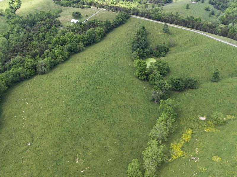 850 W Gardner Road, Cynthiana, KY 41031 Photo 30