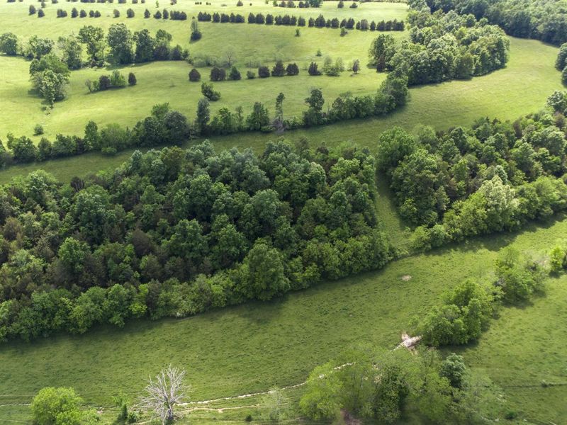 850 W Gardner Road, Cynthiana, KY 41031 Photo 35