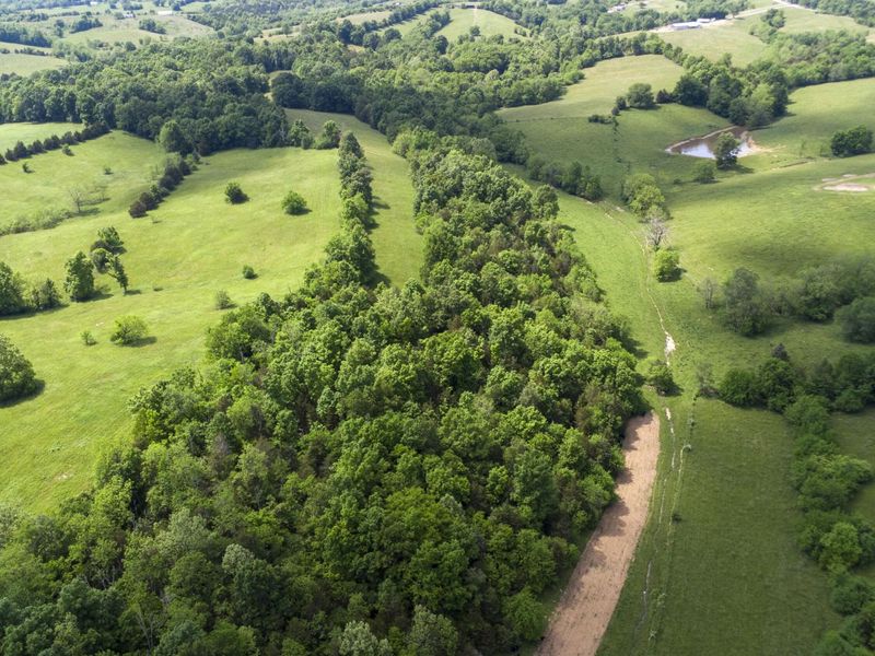 850 W Gardner Road, Cynthiana, KY 41031 Photo 37