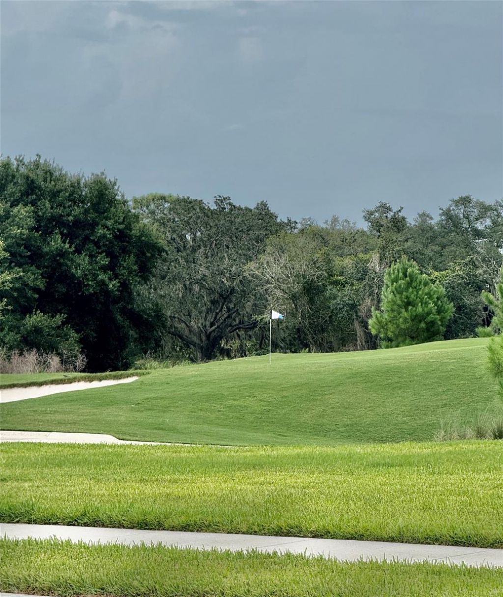 19227 Scallop Loop, Lakewood Ranch, FL 34211 Photo
