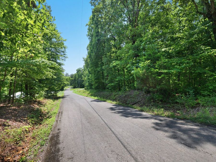 Property Image 7
