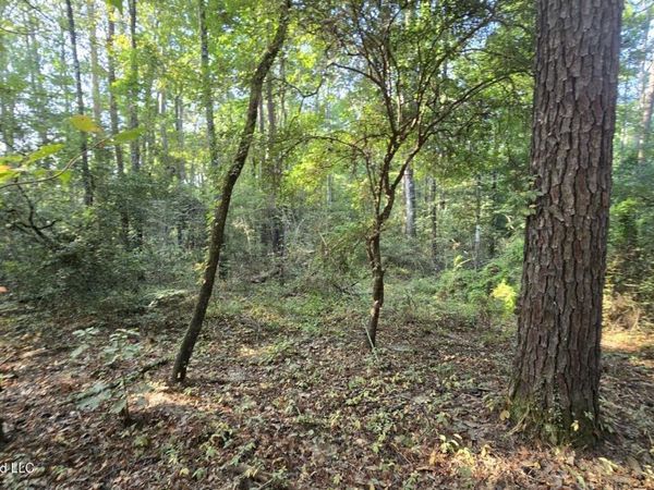 Stump Road, Gloster, MS 39638