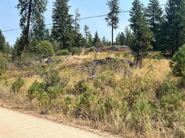 5687X Corkscrew Canyon Rd, Tumtum, WA 99034