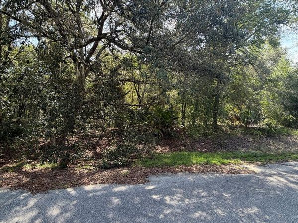 TBD MALAUKA PASS TRAIL , OCKLAWAHA, FL 32179
