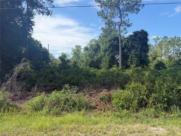 TBD MALAUKA TERRACE , OCKLAWAHA, FL 32179