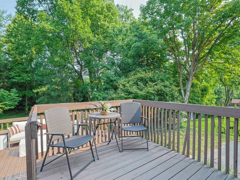 1007 Urbancrest Place, Cincinnati, OH 45226 Photo 34