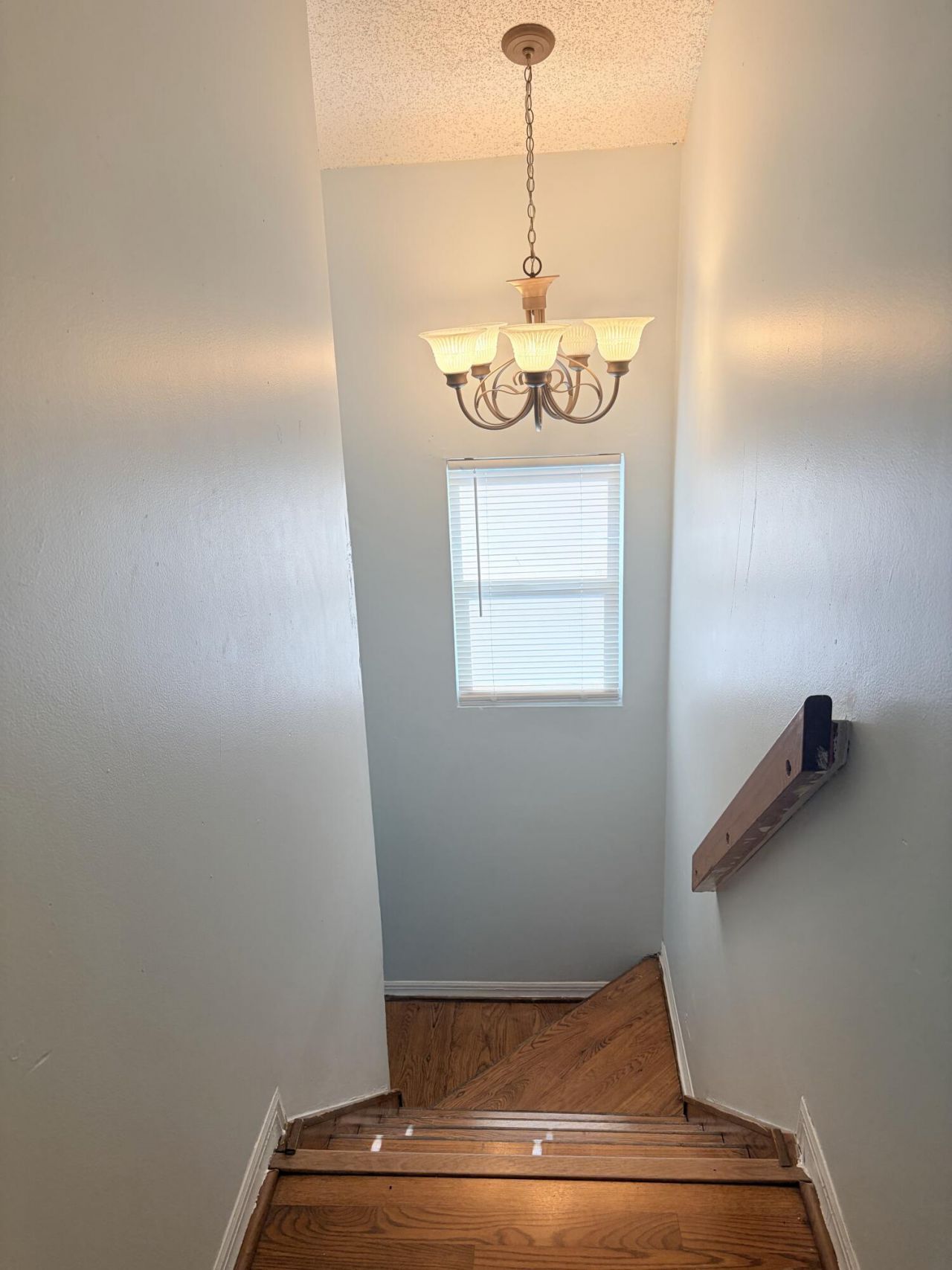5813 Wild Lupine Court, West Palm Beach, FL 33415 Photo