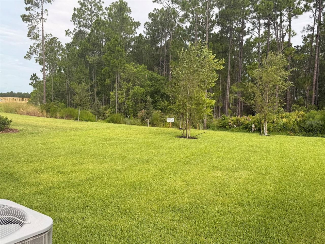 1291 Ribbon Place , Palm Coast, FL 32164 Photo