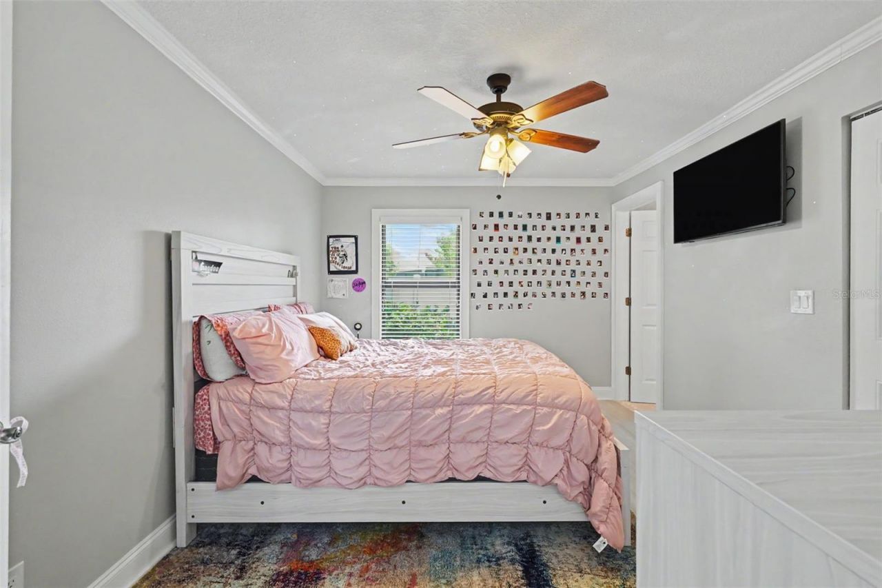 475 Holly Hill Road, Oldsmar, FL 34677 Photo