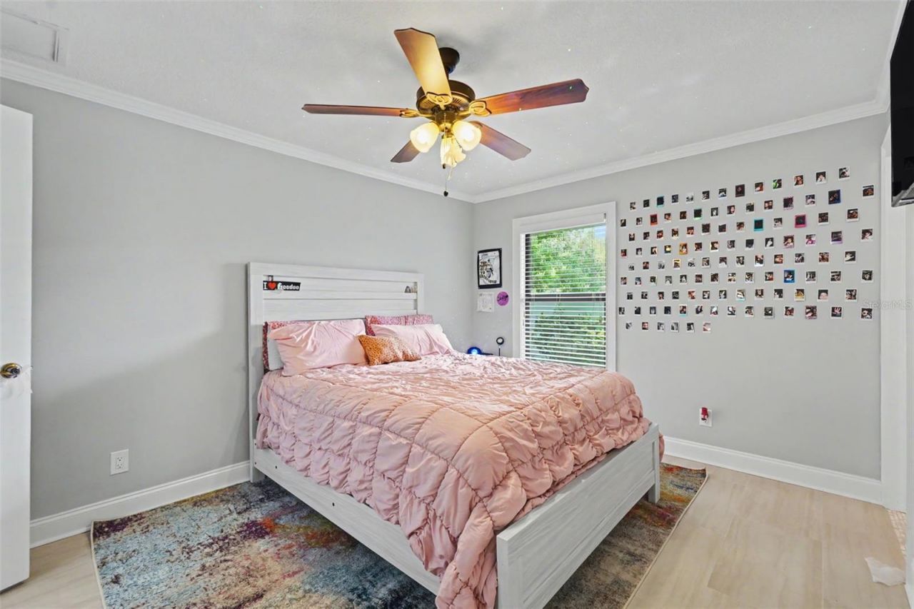 475 Holly Hill Road, Oldsmar, FL 34677 Photo